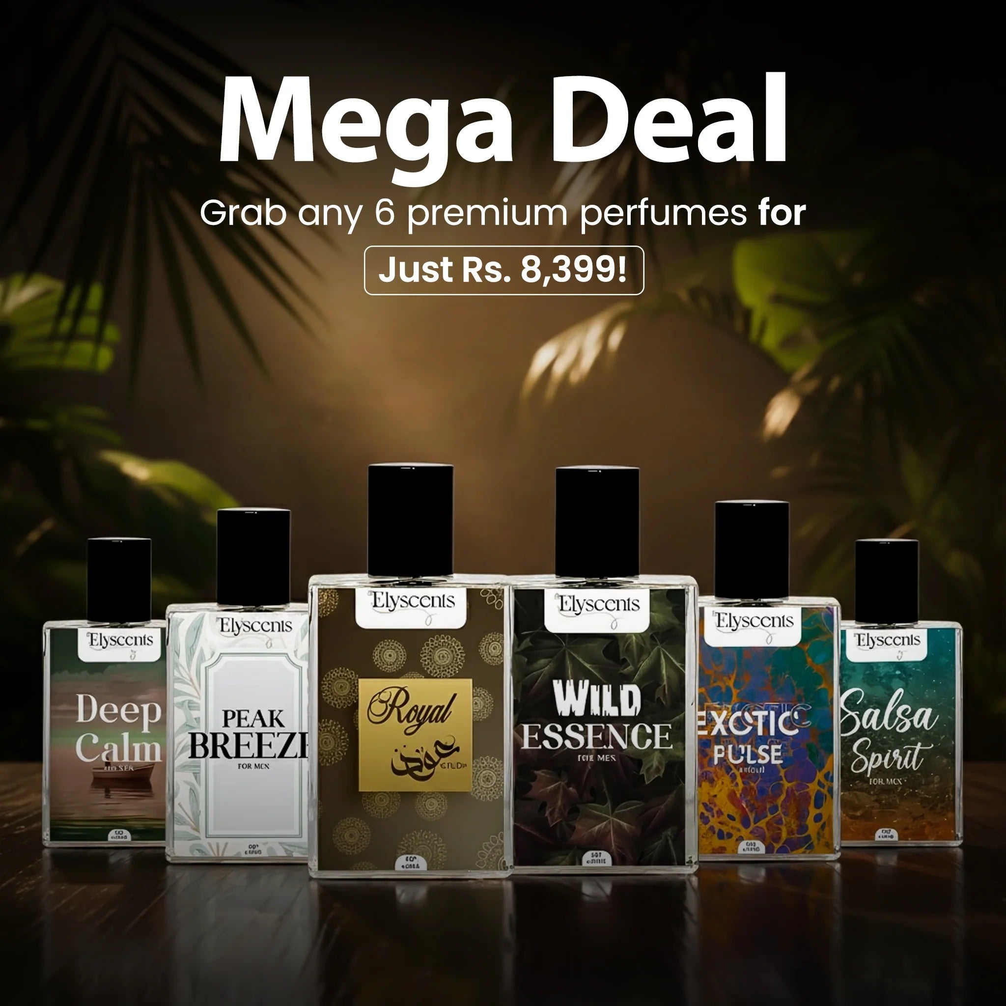 6x Mega Deal